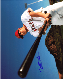 Jose Cardenal Signed Autographed Glossy 8x10 Photo New York 