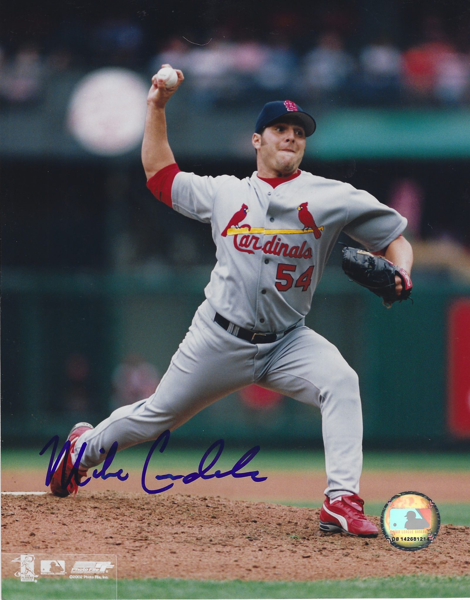 AUTOGRAPHED MIKE CRUDALE 8x10 St. Louis Cardinals photo - Main Line ...